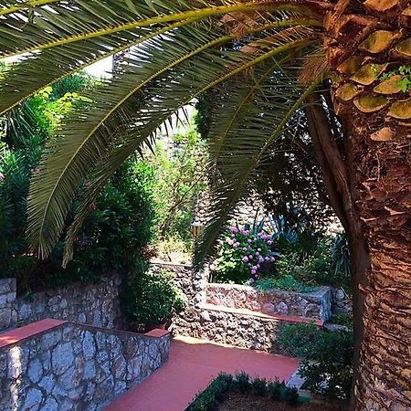 Villa Karolina Dubrovnik Oda fotoğraf