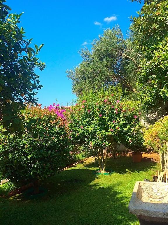 Villa Karolina Dubrovnik Dış mekan fotoğraf