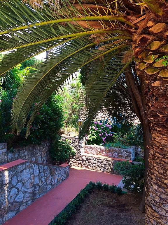 Villa Karolina Dubrovnik Oda fotoğraf