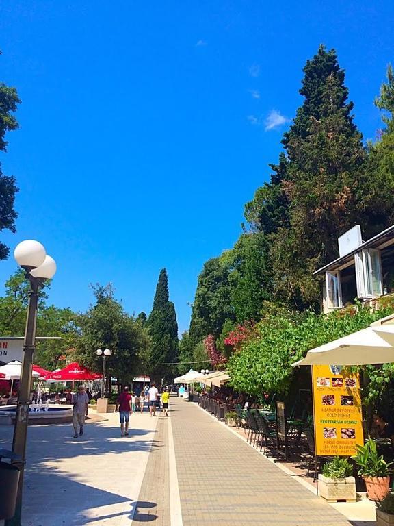 Villa Karolina Dubrovnik Oda fotoğraf