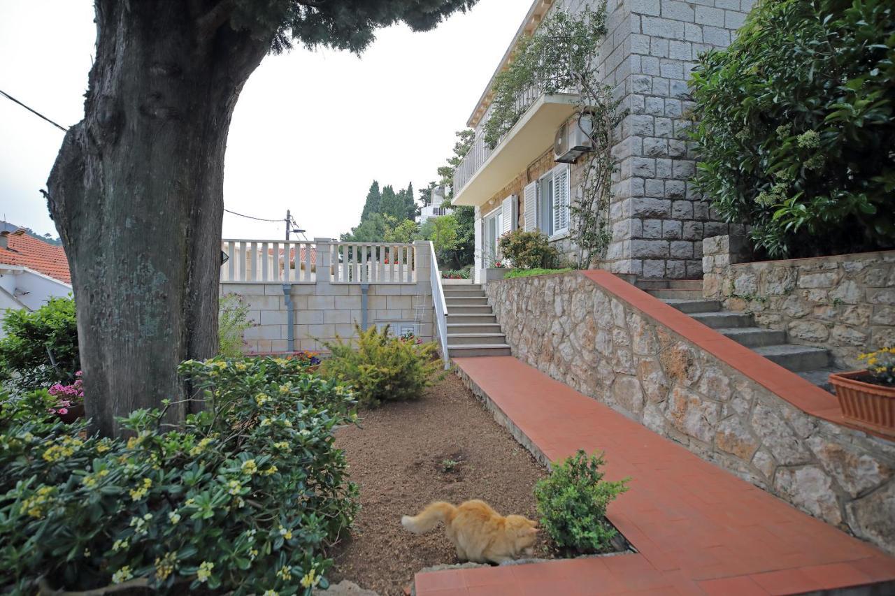 Villa Karolina Dubrovnik Dış mekan fotoğraf